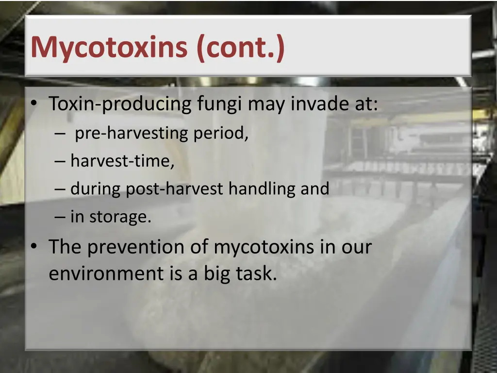 mycotoxins cont 1