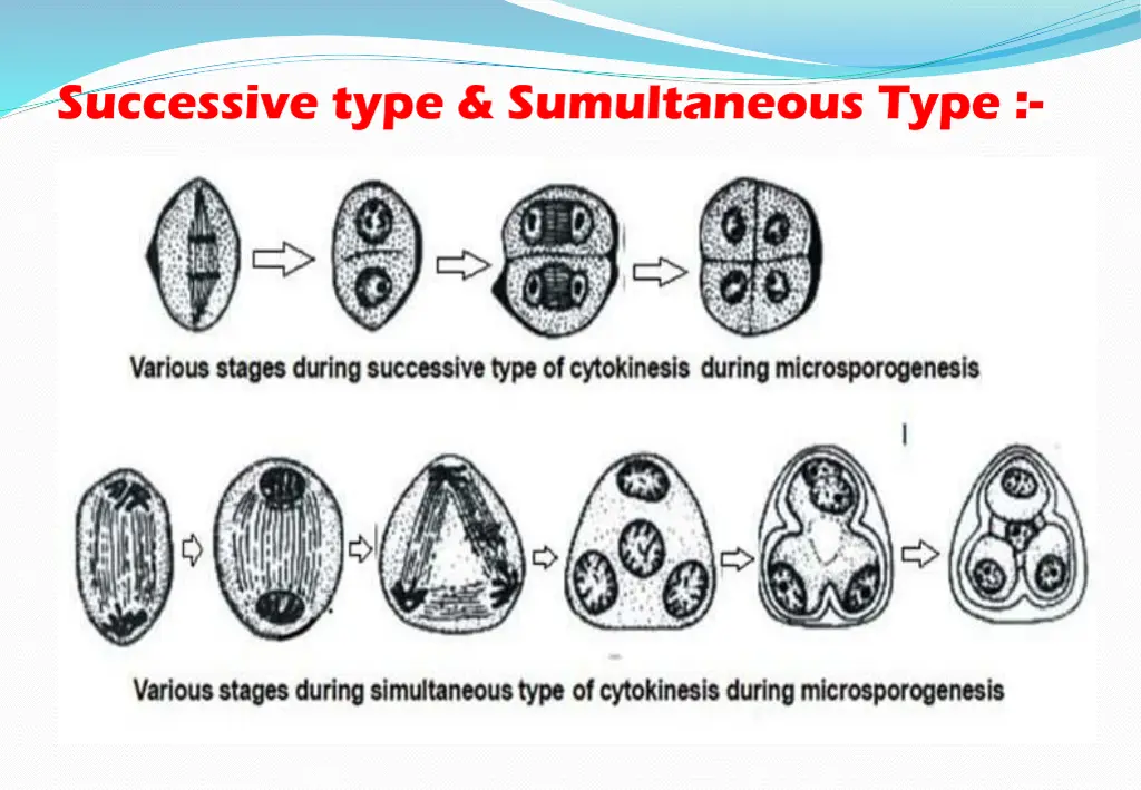successive type sumultaneous type