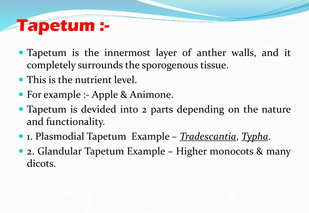 tapetum
