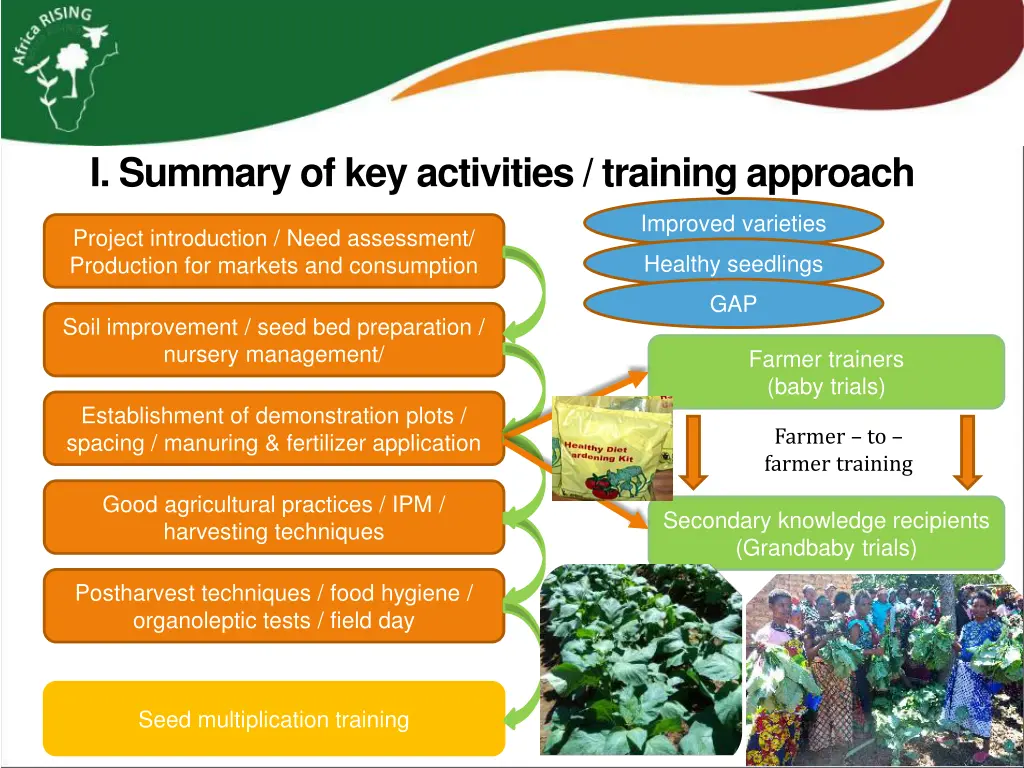 i summary of key activities training approach