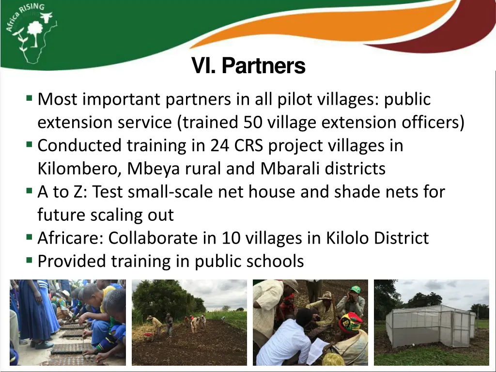 vi partners