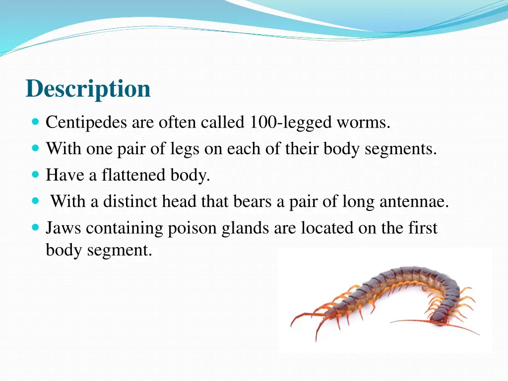 description 1