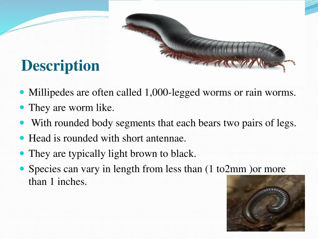 description