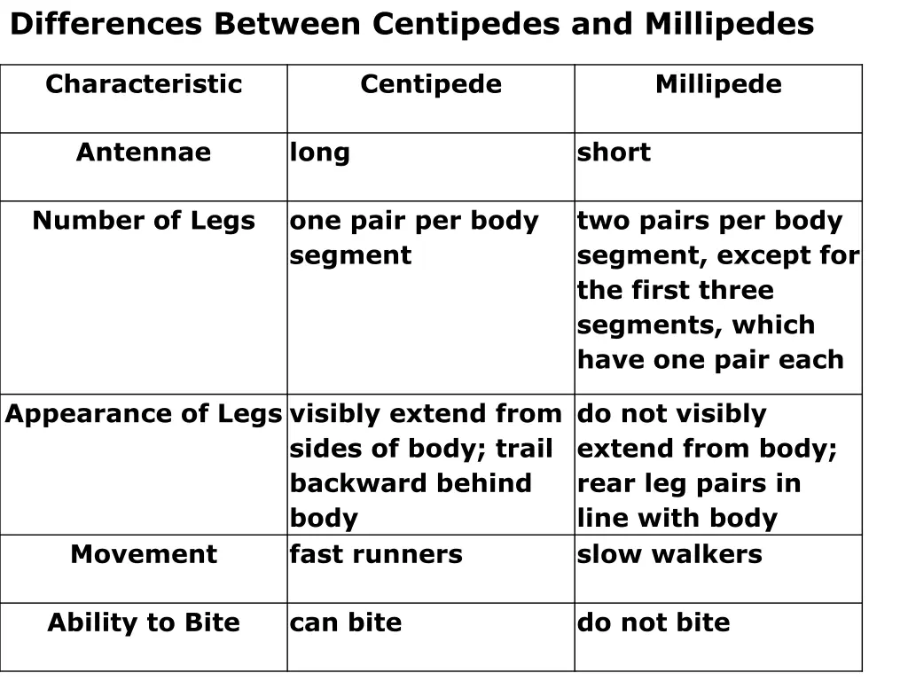 differences between centipedes and millipedes