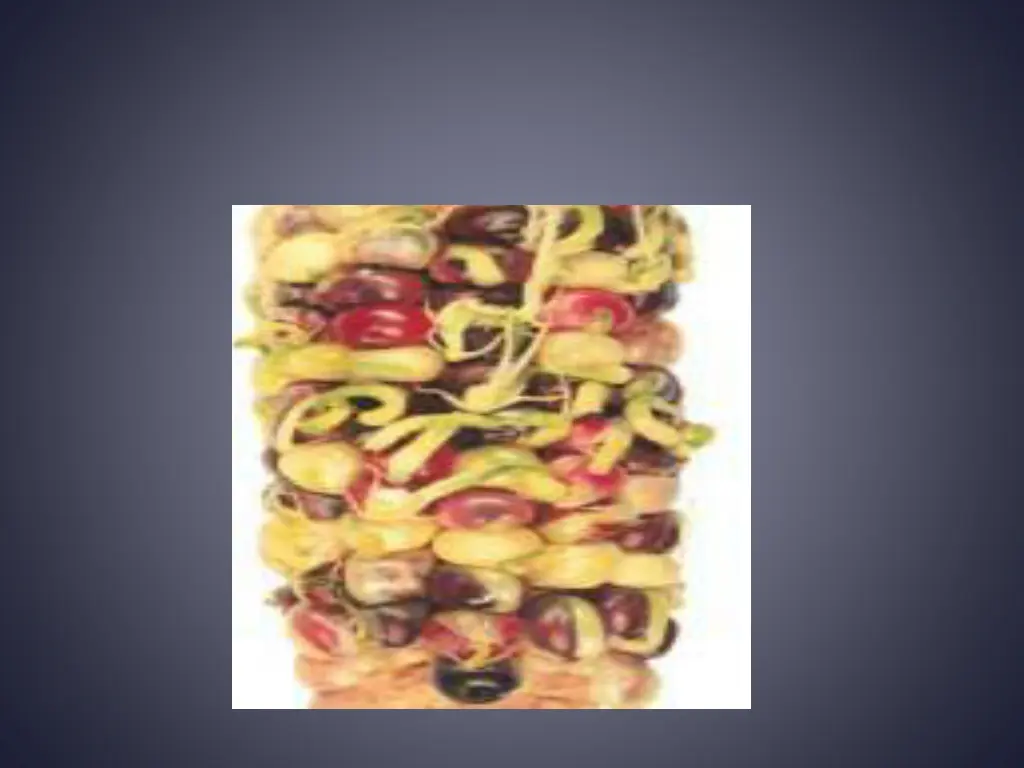 slide6