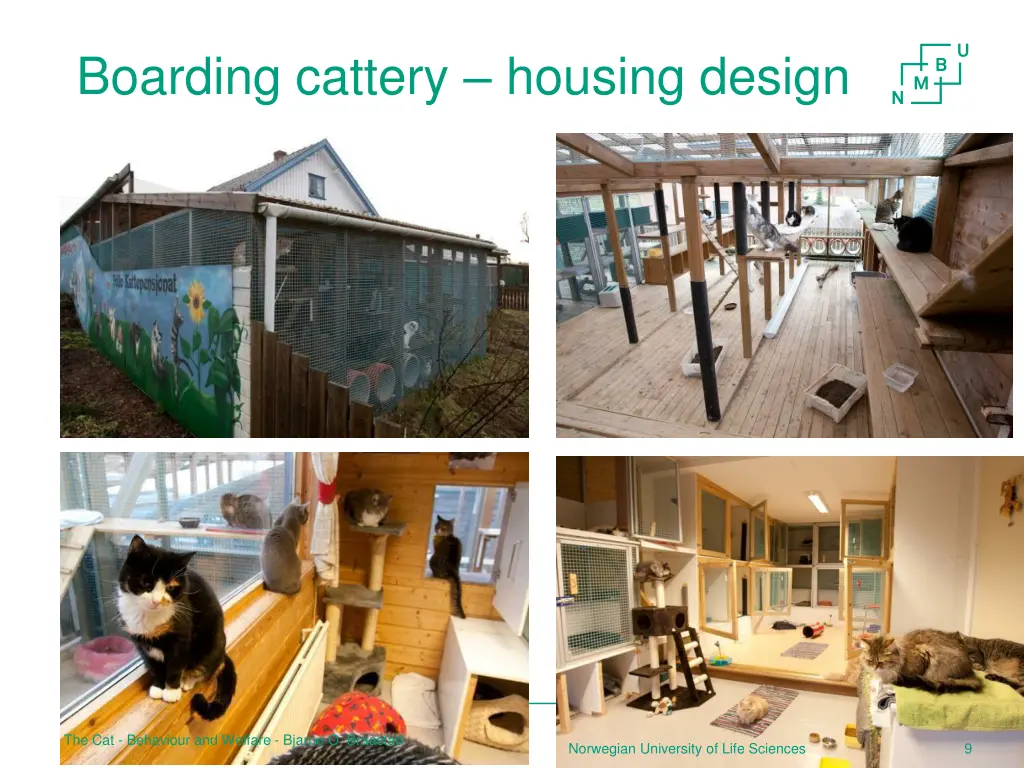 boarding cattery housing design