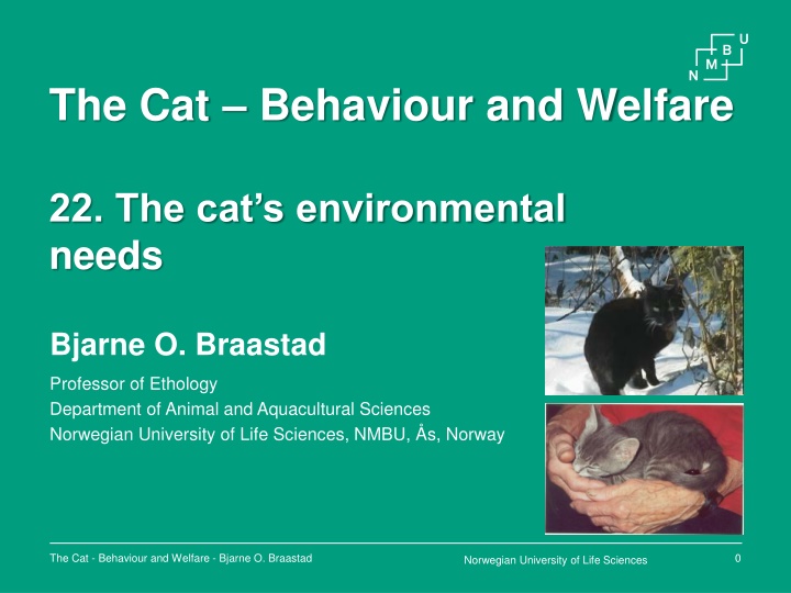 the cat behaviour and welfare