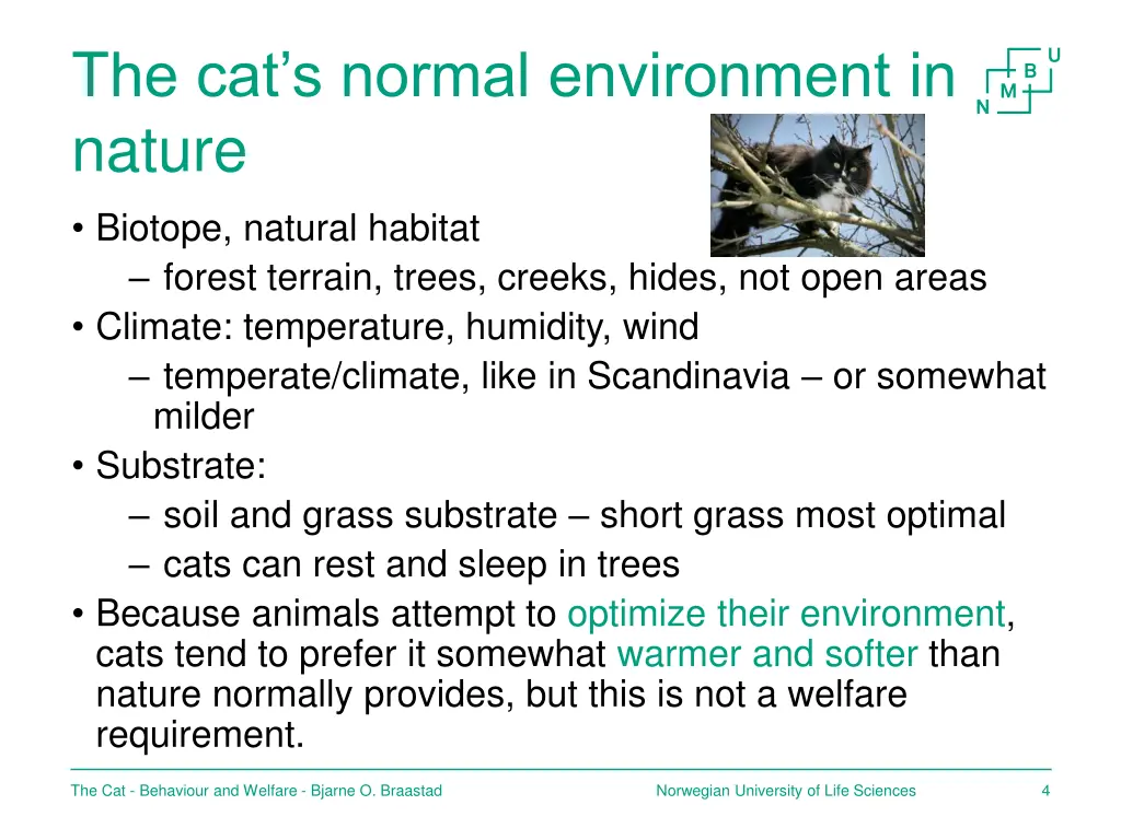 the cat s normal environment in nature