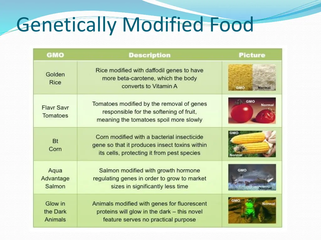 genetically modified food 1