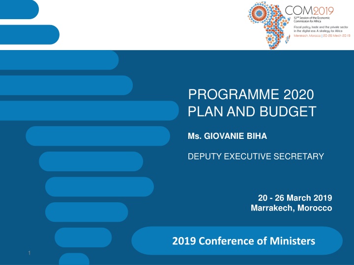 programme 2020 plan and budget