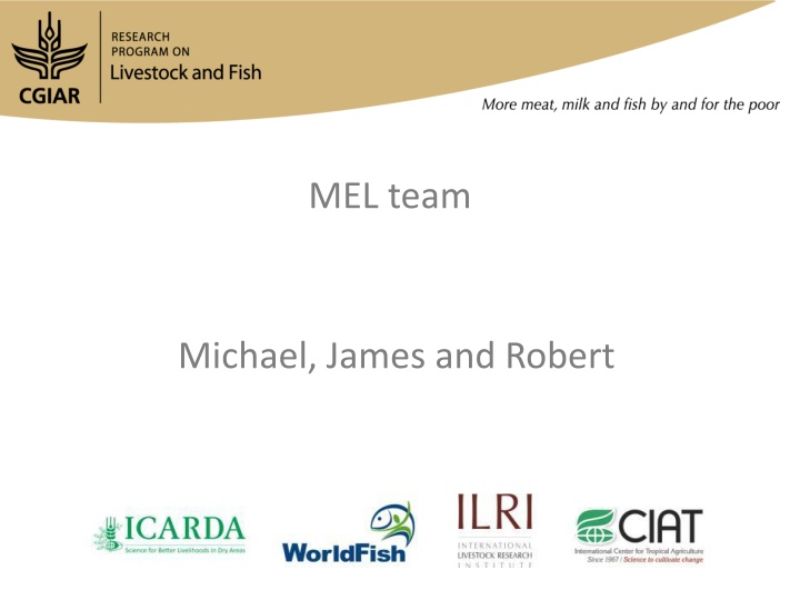 mel team