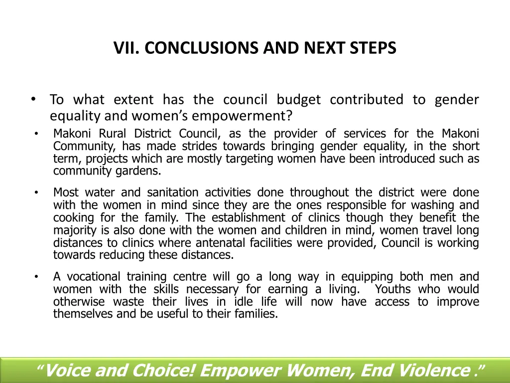 vii conclusions and next steps