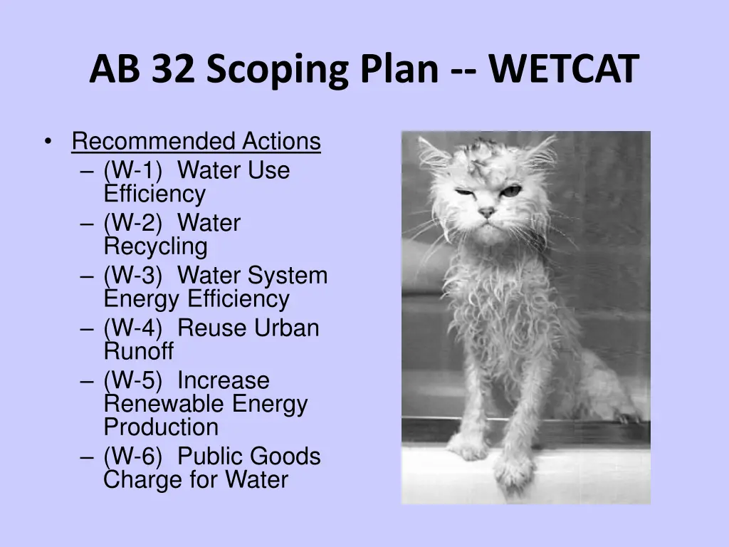 ab 32 scoping plan wetcat
