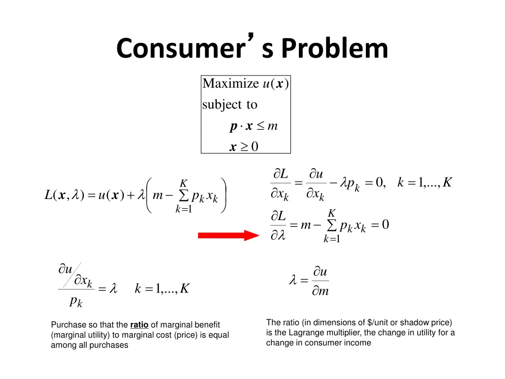 consumer s problem