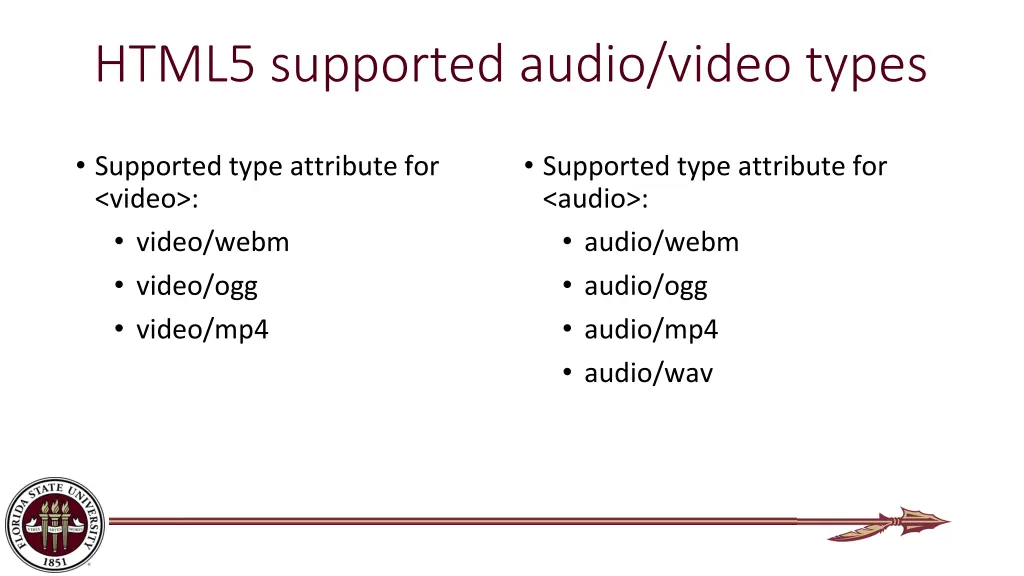 html5 supported audio video types