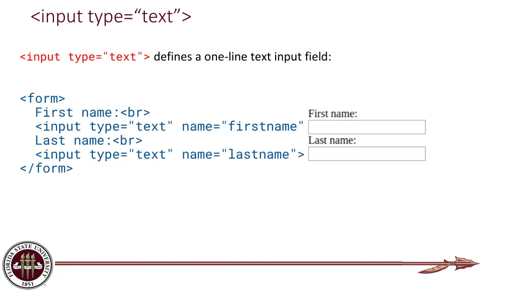 input type text