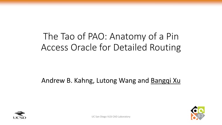 the tao of pao anatomy of a pin access oracle