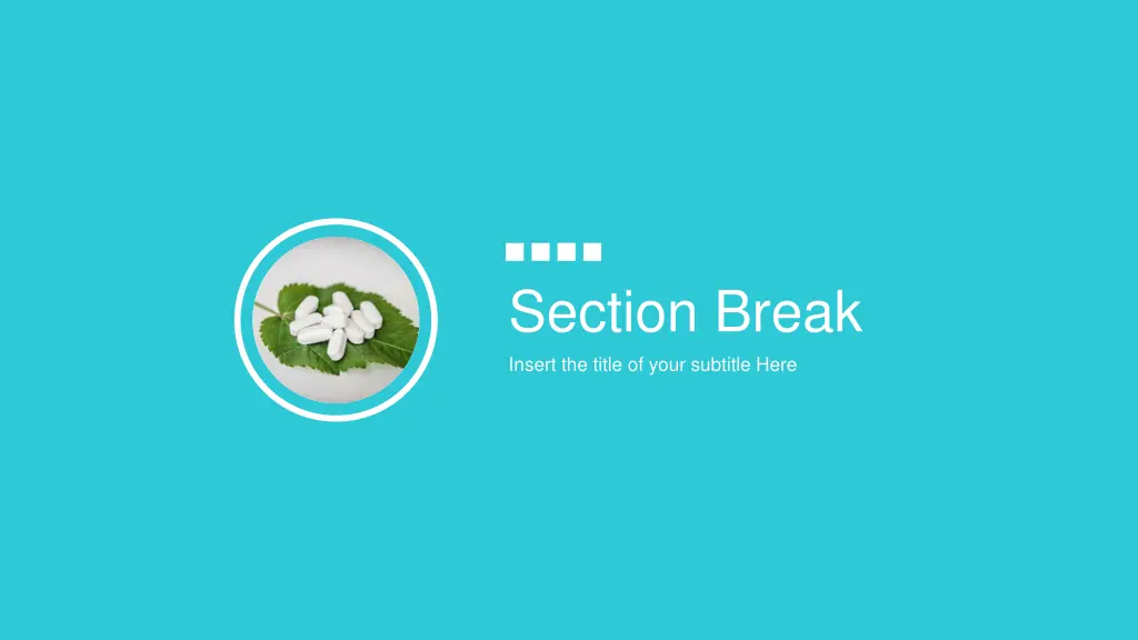 section break insert the title of your subtitle