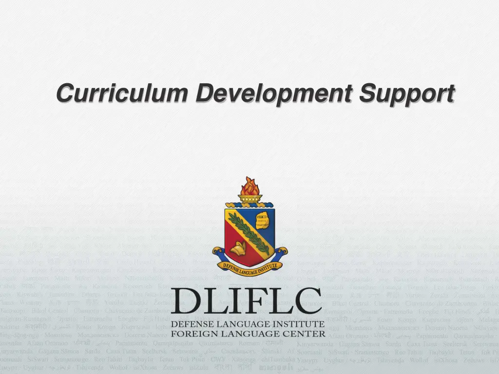 curriculum development support