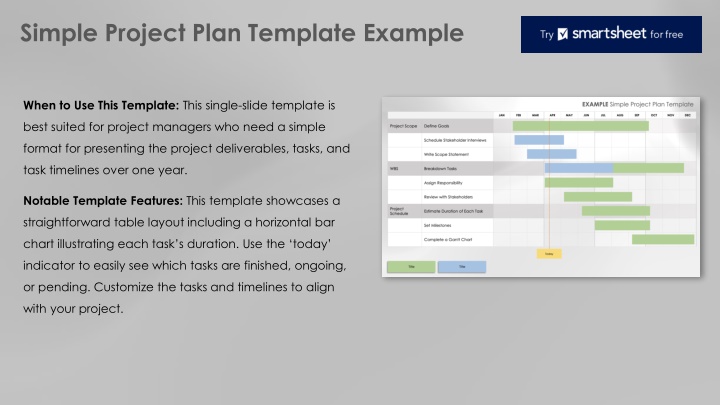 simple project plan template example