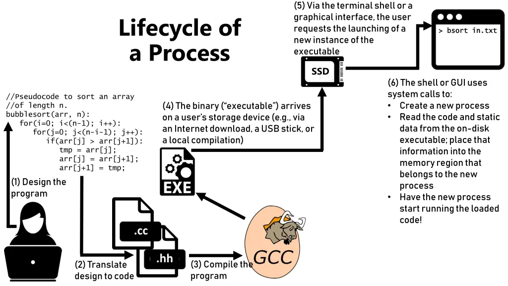 5 via the terminal shell or a graphical interface