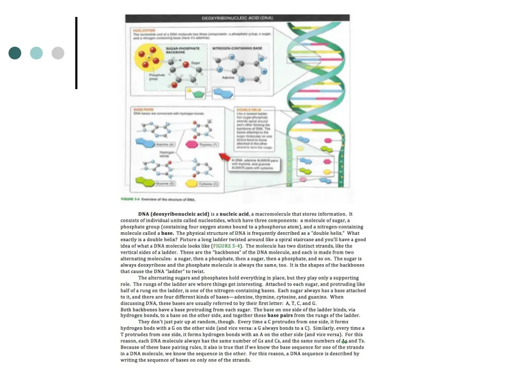 slide30