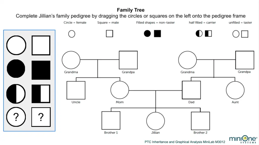 slide5