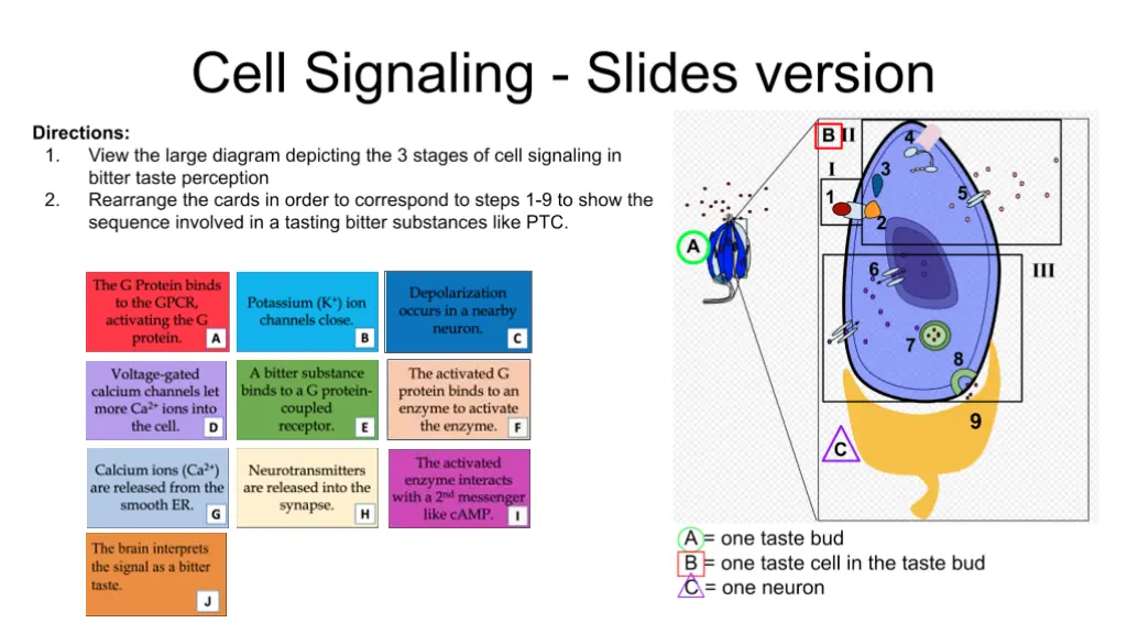 slide8