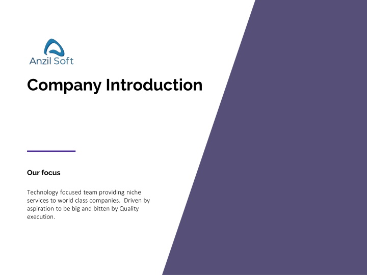 company introduction