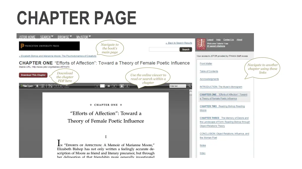chapter page