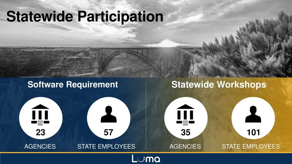 statewide participation