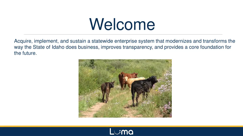 welcome