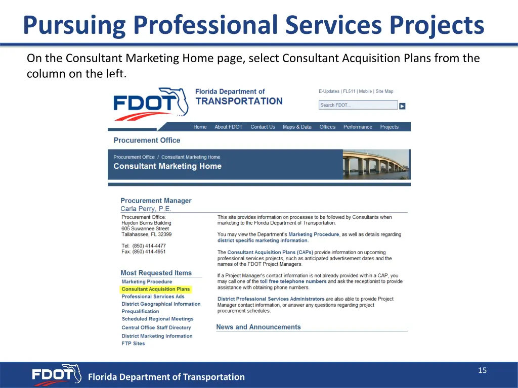 pursuing professional services projects 4