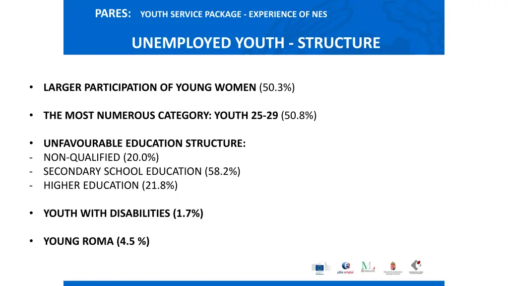 pares youth service package experience of nes 6