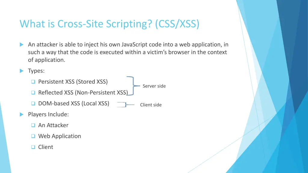what is cross site scripting css xss