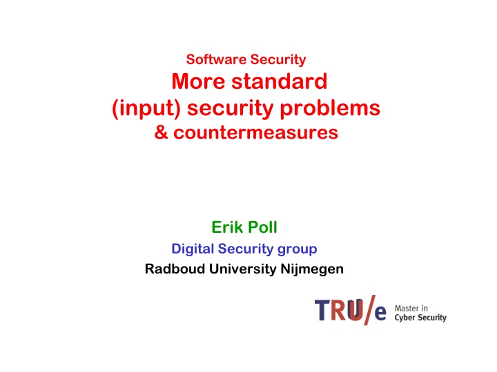 software security more standard input security