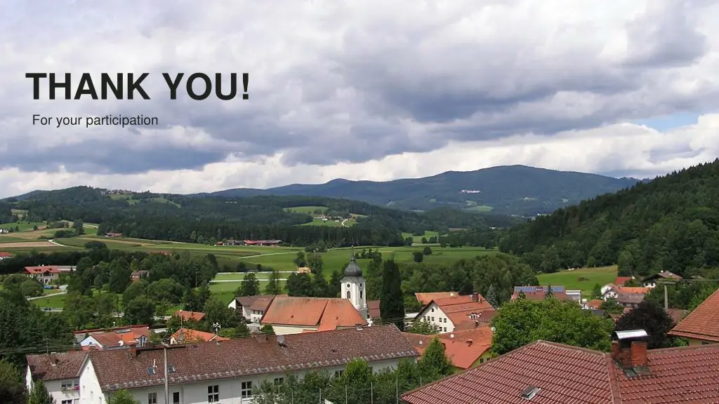 thank you for your participation
