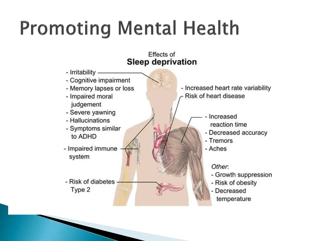 slide8