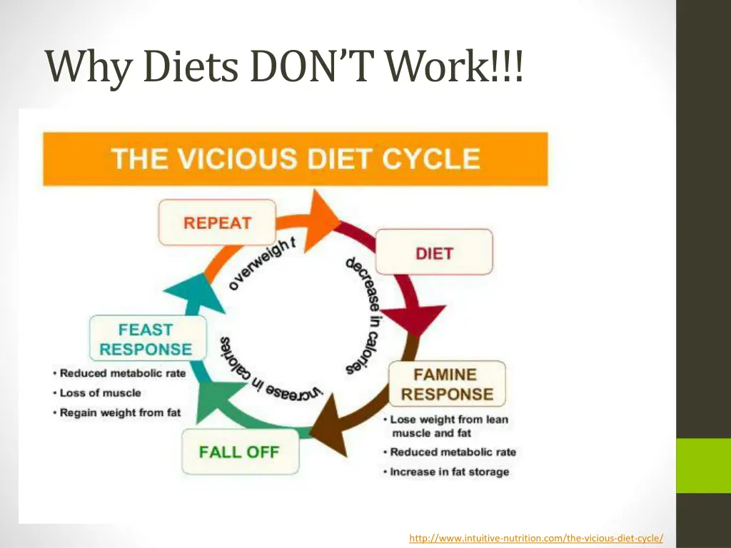 why diets don t work