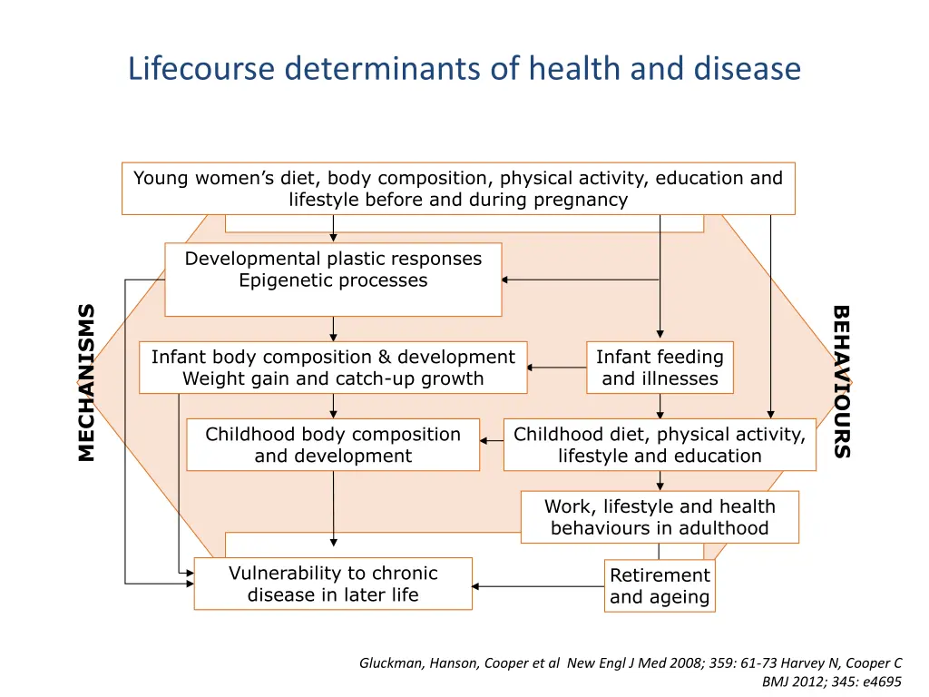 lifecourse determinants of health and disease
