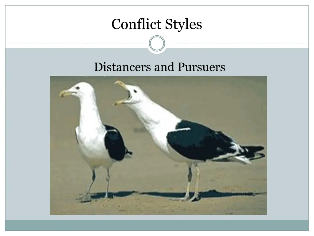 conflict styles