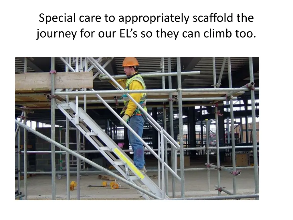 special care to appropriately scaffold