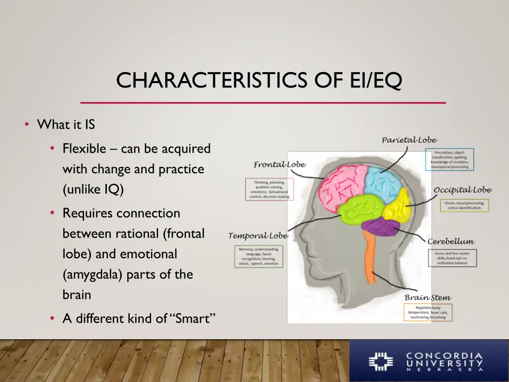characteristics of ei eq