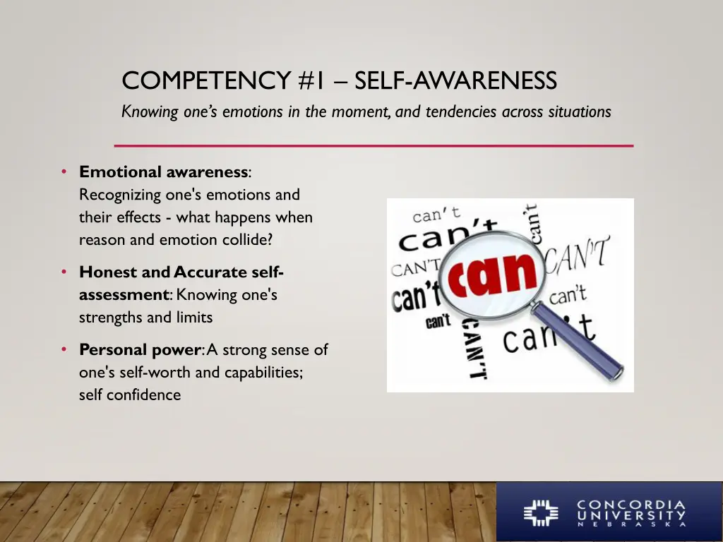 competency 1 self awareness knowing