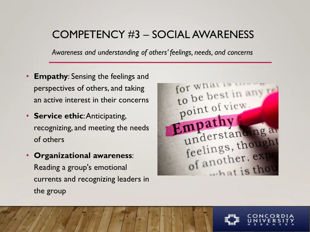 competency 3 social awareness