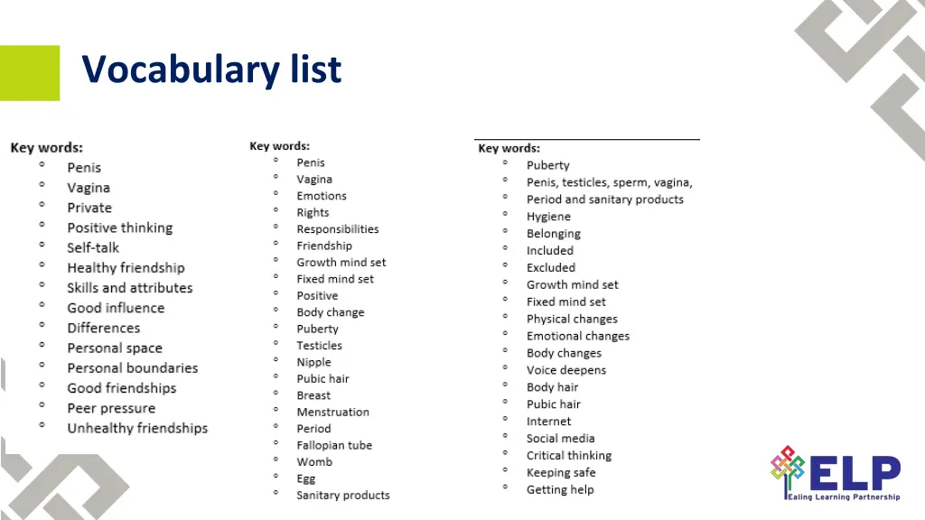 vocabulary list