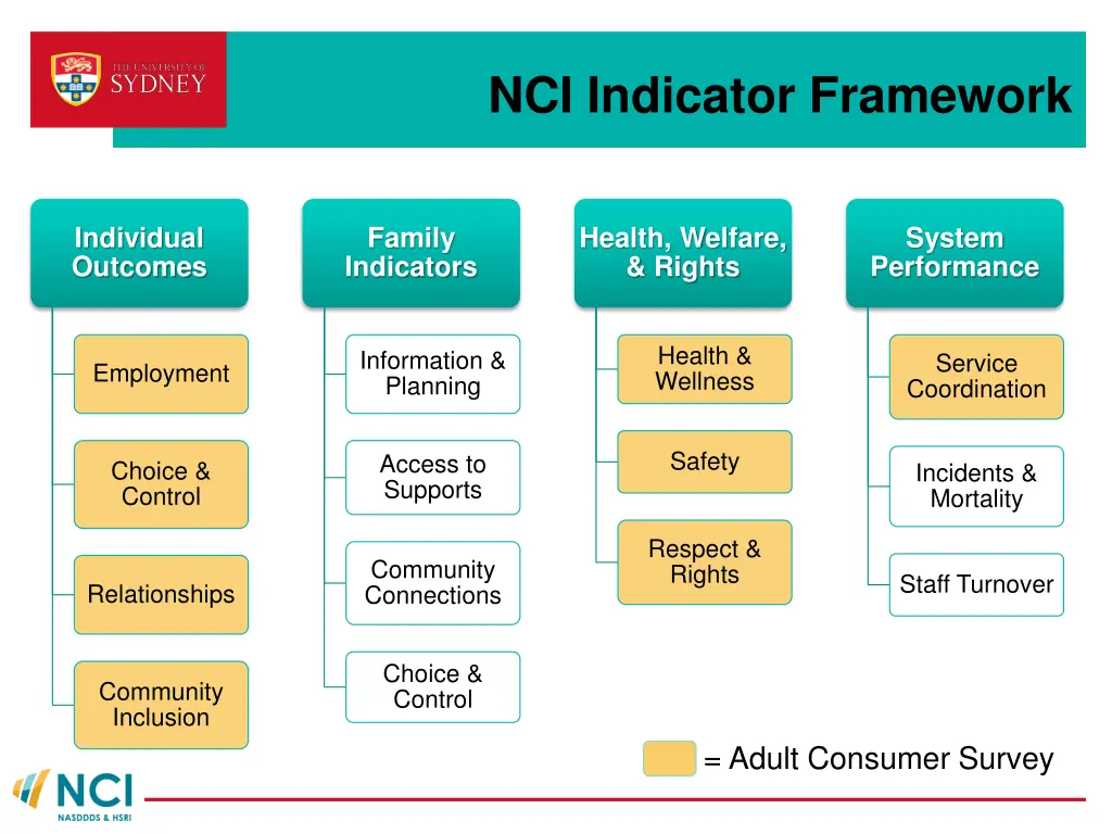 nci indicator framework