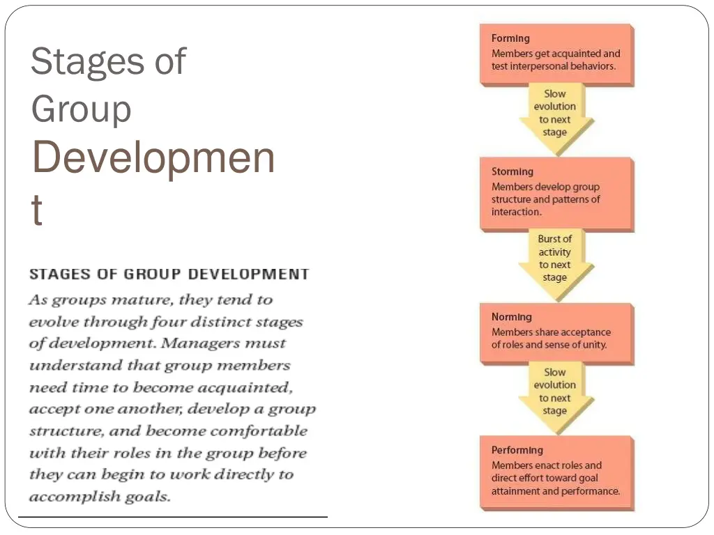 stages of group developmen t