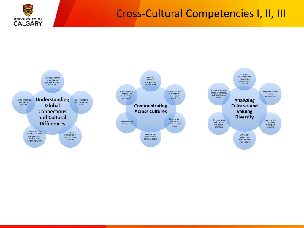 cross cultural competencies i ii iii