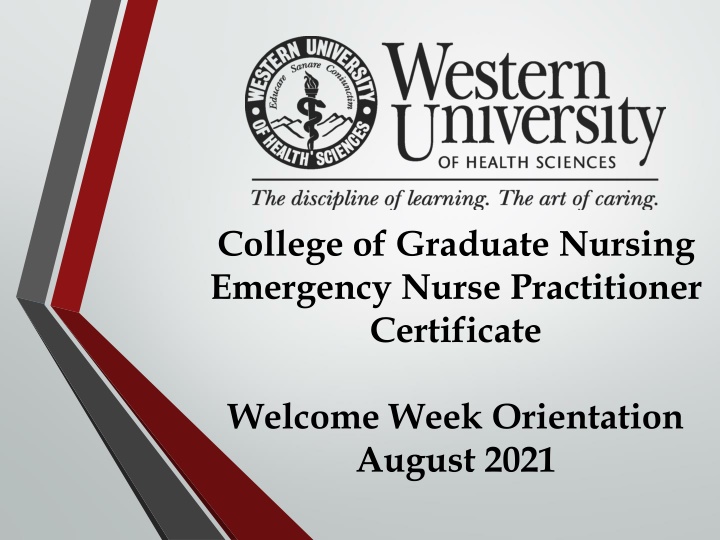college of graduate nursing emergency nurse